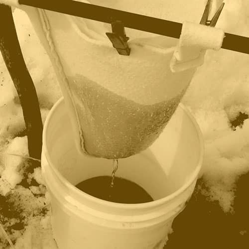 sap is filtered