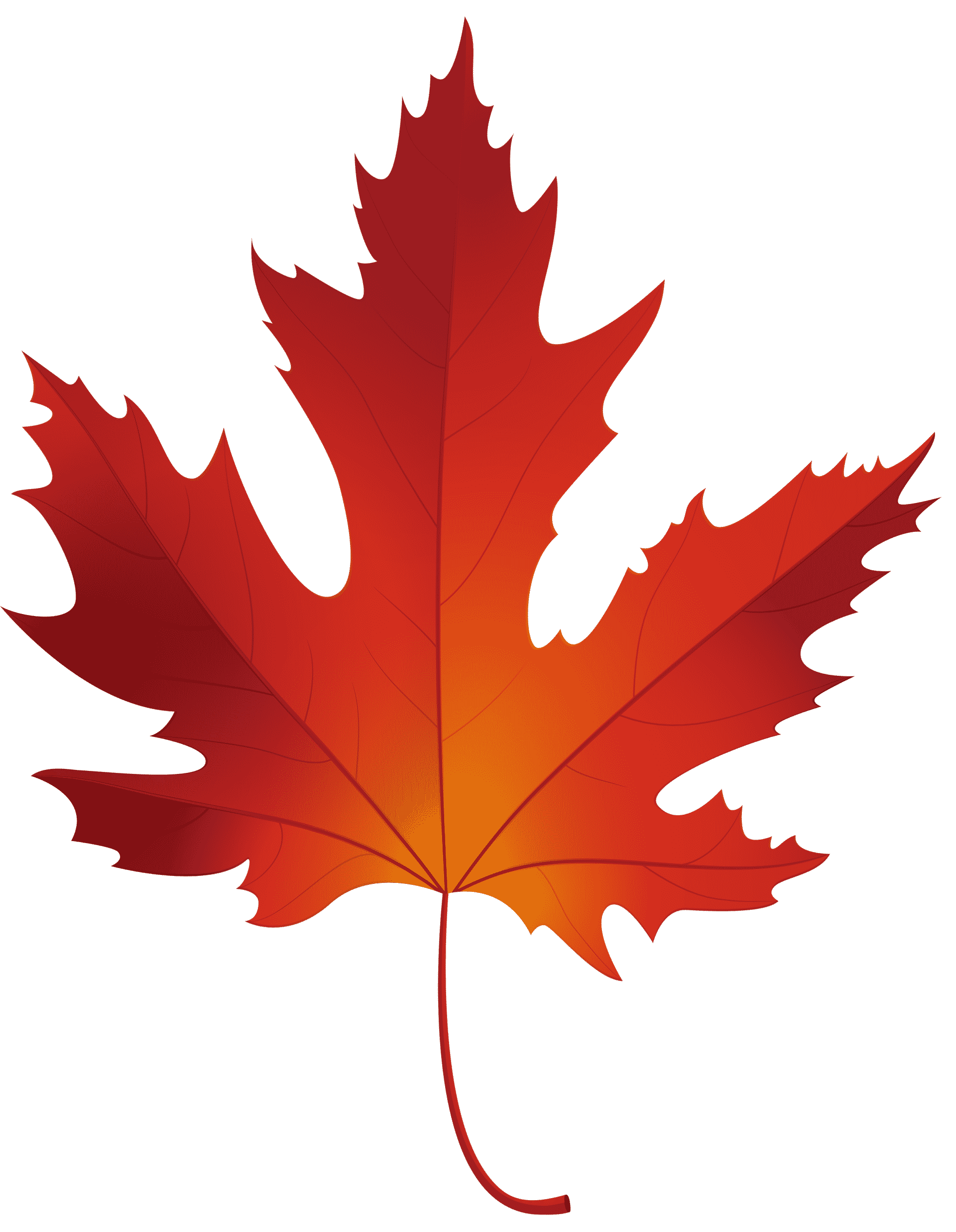 maple-leaf maple leaf