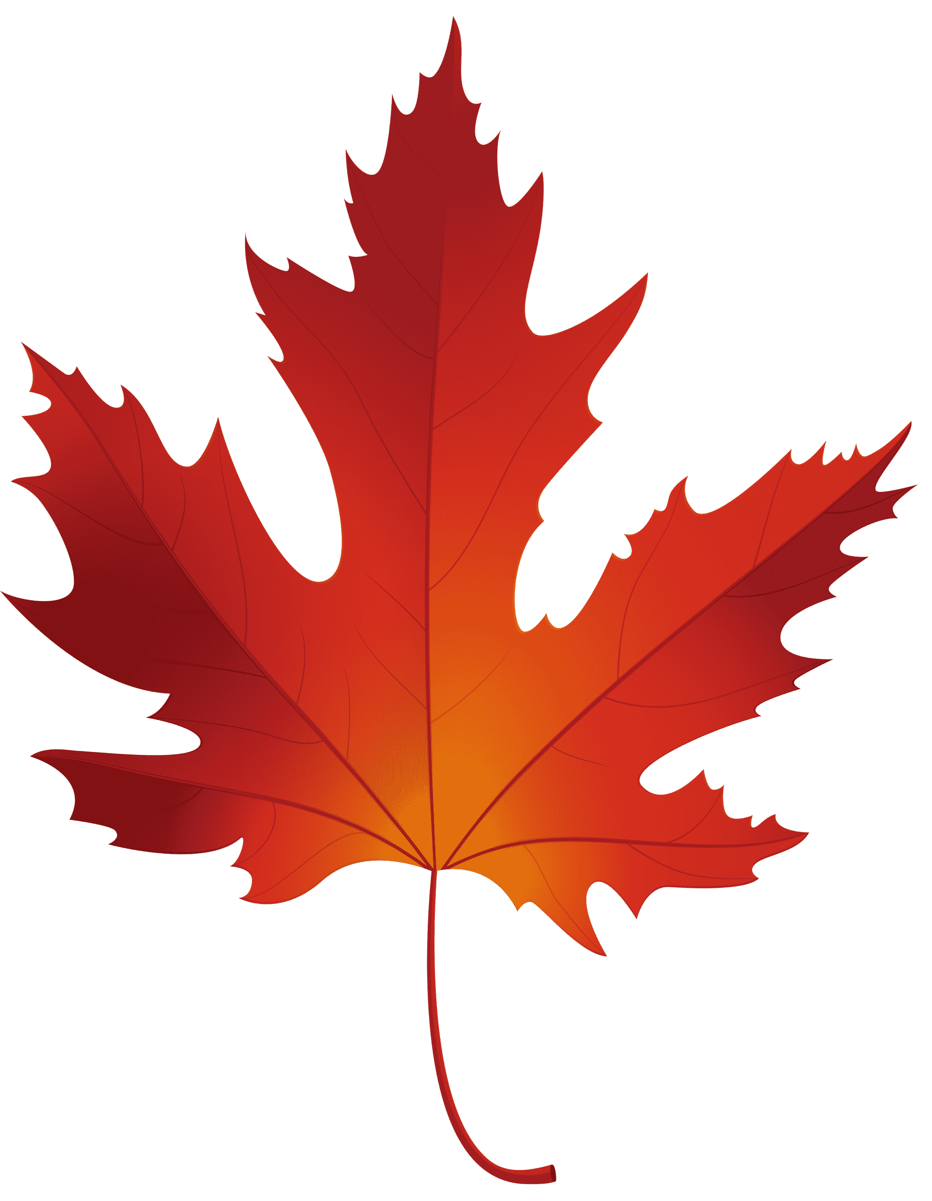 maple leaf